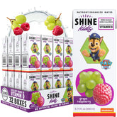 ShineWater Paw Patrol grape raspberry juice box for kids, natural flavor and hydration