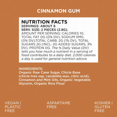 Close-up of Simply Gum Cinnamon pieces reveals natural texture and cinnamon aroma.