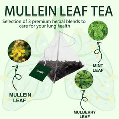 SIRDIKA Mullein tea bag close-up with mulberry leaf for daily support