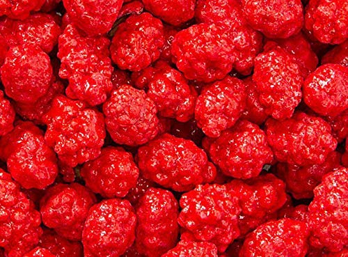 Smarty Stop red candy shell French burnt peanuts in a jar for festive snacking