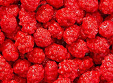 Smarty Stop red candy shell French burnt peanuts in a jar for festive snacking