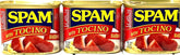 SPAM Tocino seasoning can front view, ready-to-use protein for quick meals