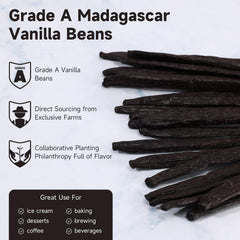 SPICEEL vanilla beans grade A in sealed pack preserving freshness