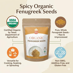 SPICY ORGANIC fenugreek seeds dry pods resting on wood for natural presentation.