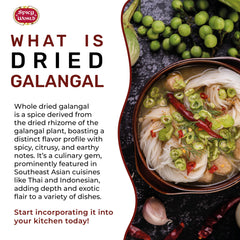 Spicy World bulk galangal bag with resealable lid for freshness