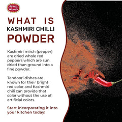 Spicy World Kashmiri chili powder closeup shows fine texture and vibrant red hue.