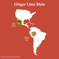Close-up of Spindrift Ginger Lime Mule showing lime and ginger notes.