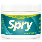 Spry Wintergreen gum packaging container on the go for lasting freshness.