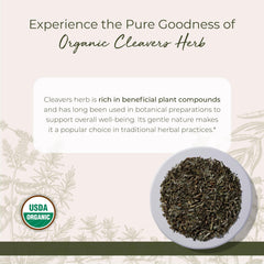 Starwest Botanicals Cleavers herb green aroma—ideal for herbal blends and salads.