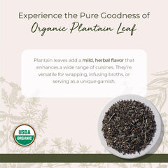 Starwest Botanicals Plantain Leaf dried loose leaves closeup for blends