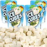 SWEETSIDE Pina Colada Bottle showcases tropical refreshment on the go.