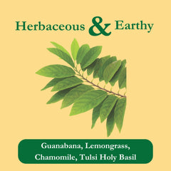 Close-up of Guanabana Tea Blend packaging highlighting quality