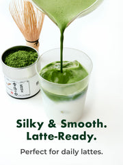 First-harvest leaves used in TAGASHIRA CHAHO Uji no Shiro for rich aroma