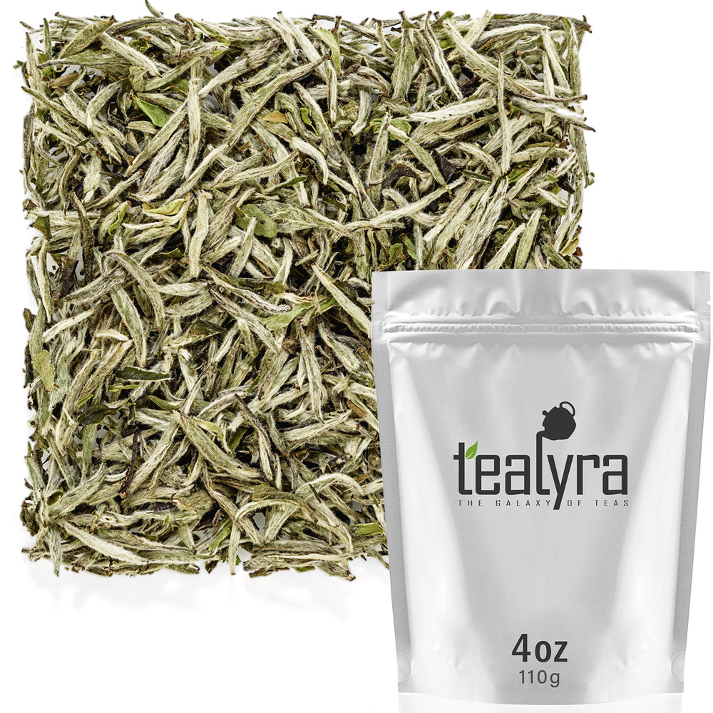 Tealyra Bai Hao Yin Zhen silver needle tea buds for a delicate, antioxidant-rich cup.