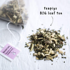 teapigs steeping tea bag in cup reveals whole leaves and refreshing aroma.