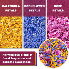 TEARELAE calendula petal closeup revealing sunny tones for toppings and ice cream.
