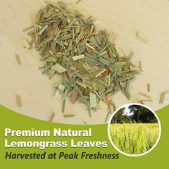 TEARELAE lemongrass tea bags in a glass with ice for a refreshing iced tea.