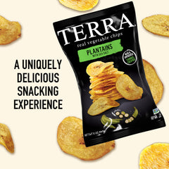 Terra Plantains chips sea salt bag back displaying nutrition details