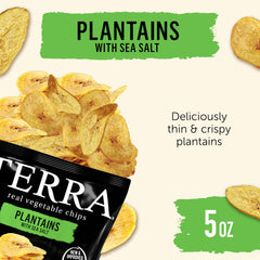 Terra Plantains chips sea salt ingredients panel with non-GMO visual
