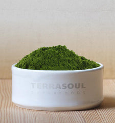 Terrasoul Barley Grass Juice Powder mixing with water for a quick green juice