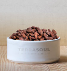 Terrasoul cacao beans ready for snacking, baking, or homemade chocolate creations.