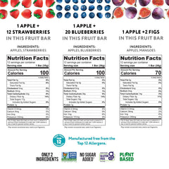 That's it mega variety pack blueberry bars show gluten-free, plant-based snack options.
