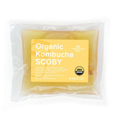 The Kombucha Shop 100% organic SCOBY starter kit assembled for quick home brew