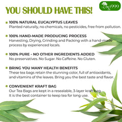 TOG999 biodegradable corn-fiber tea bags highlight sustainable, additive-free tea