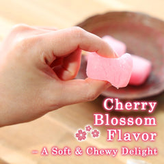 TOMOSAN Sakura Mochi gift-ready pack ideal for gifting