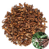 TooGet organic dandelion root cut-sifted packaging highlighting premium loose-leaf tea