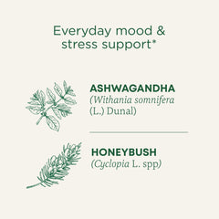 Close-up of ashwagandha, honeybush, and rose blend showing adaptogenic balance