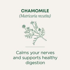 Traditional Medicinals chamomile flowers close-up highlighting aroma and potency.