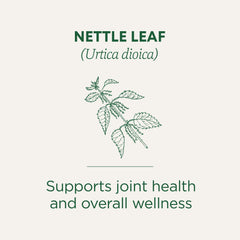 Traditional Medicinals nettle leaf close-up reveals fresh herbal quality.