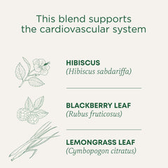 Traditional Medicinals hibiscus tea lemongrass blend aroma and flavor