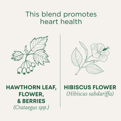 Traditional Medicinals organic tea label emphasizing certification.