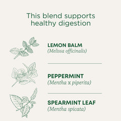 Traditional Medicinals Peppermint Delight Tea cup steaming, caffeine-free option for relaxed evenings