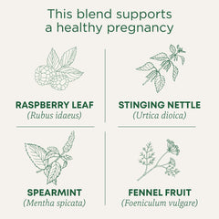 Traditional Medicinals raspberry leaf leaves close-up for soothing tea ritual.
