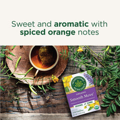 Aromas of Smooth Move with spiced orange notes from Traditional Medicinals.