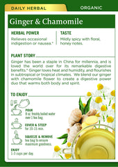 Steaming cup of Traditional Medicinals tea with a comforting aroma.