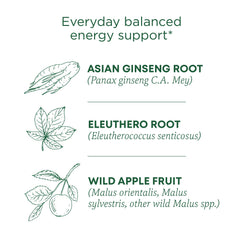 Traditional Medicinals Stress Ease Focus ginseng root highlights adaptogen-inspired focus.