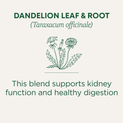 Traditional Medicinals dandelion leaf and root pack shot showcasing natural, sustainably harvested ingredients.