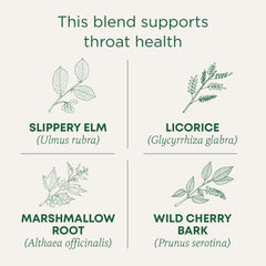 Traditional Medicinals Throat Coat tea steeping cup with warm licorice notes