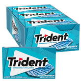 Trident Wintergreen Sugar Free Gum pack for on-the-go freshness.