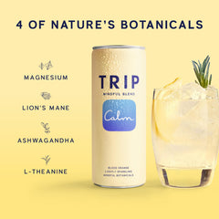 TRIP Lightly Sparkling glass pour with bubbles highlights a crisp citrus moment.