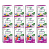 Box of True Lemon Wildberry Lemonade packets for easy on-the-go hydration