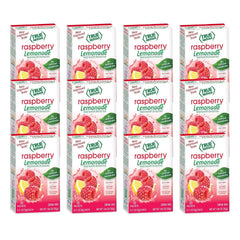 True Lemon Raspberry Lemonade packet pours into water for refreshing hydration.
