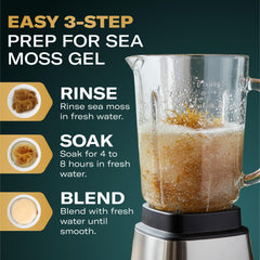 TrueSeaMoss soaked and blended sea moss ready for gel
