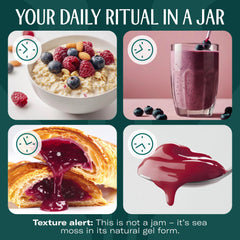 TrueSeaMoss unopened jar on shelf shows freshness.