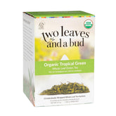 Two Leaves and a Bud tropical green tea sachet ready for brew