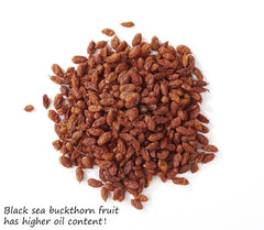 Close-up of ULTHMOK berries highlighting high oil content and texture.